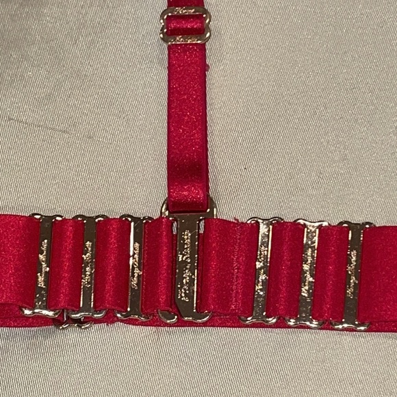 ♥️BNWOT HB™ ☆Samantha☆ 32B w/ Matching Choker Harness 3-in-1 Looks 2-Piece SET♥️ - Picture 13 of 13